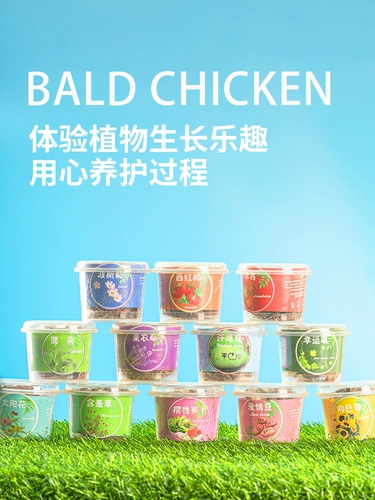 Мини -дети сажают творческие мелкие горшечные науки о наблюдении