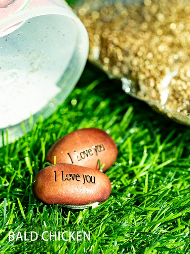 Маленькое детское креативное растение в горшочке для детского сада, наука, подарок на день рождения