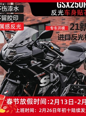 适用铃木GSX250R车身贴花改装个性贴纸 车身贴装饰战斗灰橙色绿色