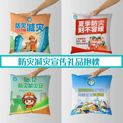 消防队应急办5.12防灾减灾宣传周文创礼赠品抱枕被靠垫枕头印文字