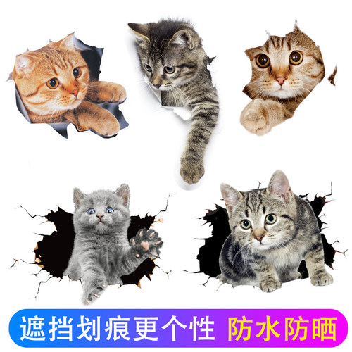 猫咪刮痕车贴3d立体车贴