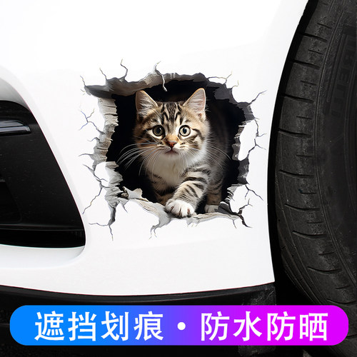 汽车小猫贴纸划痕遮挡遮盖