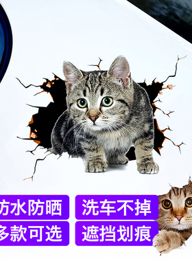 车贴遮挡划痕前保险杠白色车门车头3D立体小猫咪防水汽车刮痕贴纸