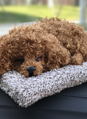 车内饰品摆件泰迪可爱哈奇士车载仪表台中控台装饰仿真狗动物炭包