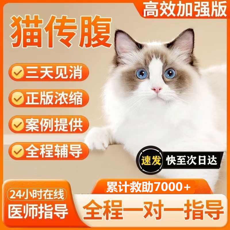 猫咪传腹干性湿性口服解决方案 腹膜炎口炎可用 全程专业指导使用