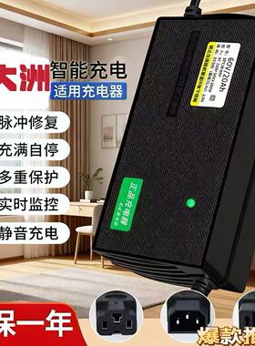 适用新大洲原装电动车充电器48V60V72伏铅酸石墨烯脉冲新国标正品