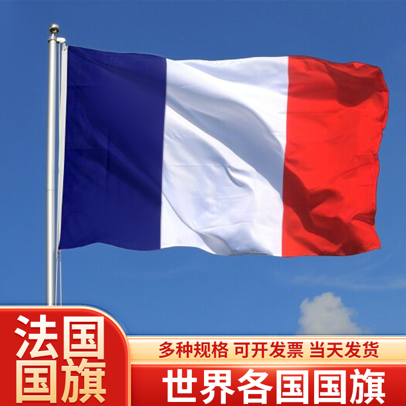 法国国旗户外飘旗手摇旗串旗办公桌旗会议签约旗帜外国旗万国旗运动会小旗帜广场装饰吊旗落地旗3号4号旗定制