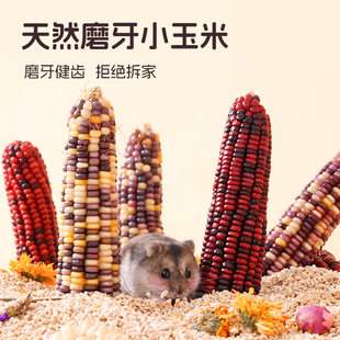 仓鼠玉米磨牙棒子金丝熊零食磨牙神器小宠营养粮食饲料玩具用品