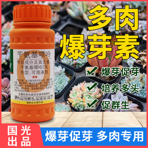 国光多肉爆芽素分裂素