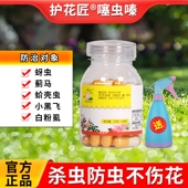 小白药囊护花匠噻虫嗪胶囊杀虫剂蚜虫蓟马小黑飞蚧壳虫月季 除虫药