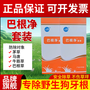 巴根净静马尼拉台湾草里防除野生狗牙根杂草除草药套装专用除草剂