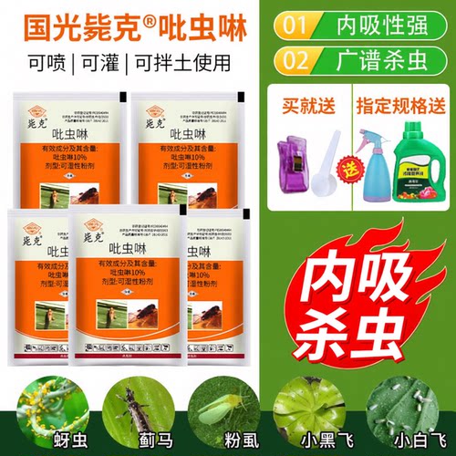 国光多肉月季蚜虫蚧壳虫小白药