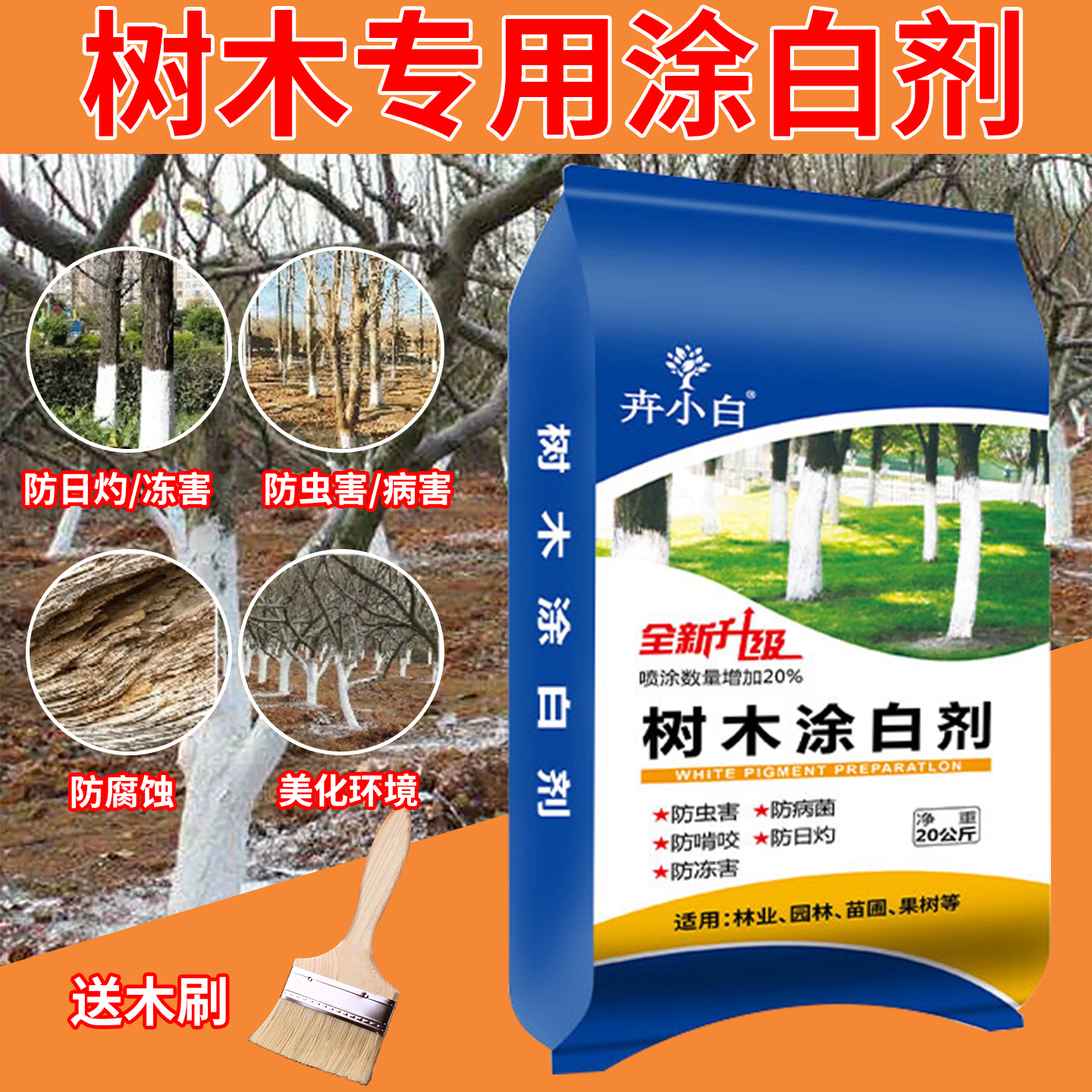 卉小白树干防冻防菌涂白剂
