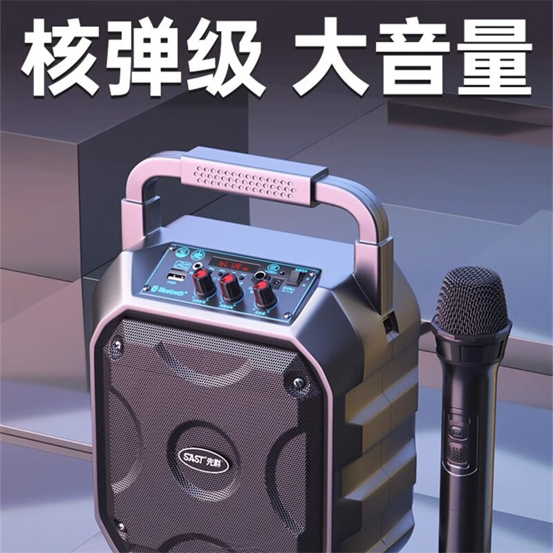 先科户外手提蓝牙音响大功率广场舞便携音箱大音量带无线话筒k歌