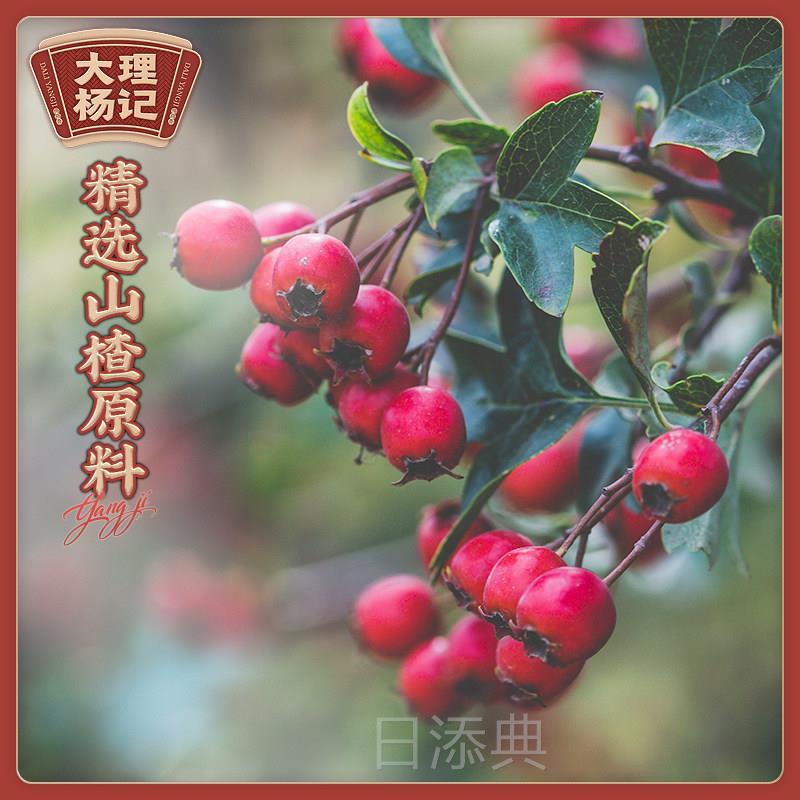 冰糖山楂条大理杨记雕梅地方特色办公室休闲 果脯吃货零食食品350