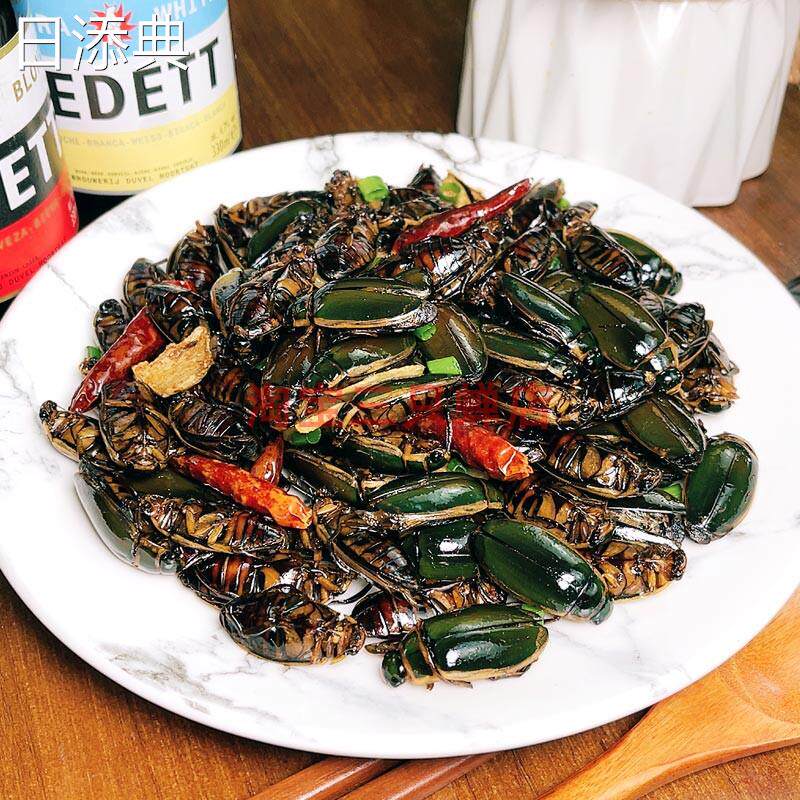 地方特色虫子美食小金边龙虱油炸水鳖虫东北美味小龟子爆炒射尿龟