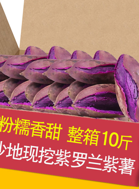 紫薯新鲜农家自种沙地现挖10斤紫罗兰蜜薯糖心甜山芋番薯蔬菜地瓜