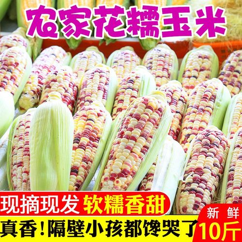 「官方推荐」新鲜花糯玉米好评榜