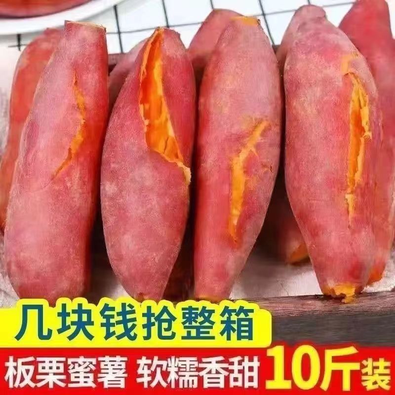 沁枝现挖现发沙地六鳌蜜薯