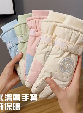 冬季加绒加厚触屏防风手套女