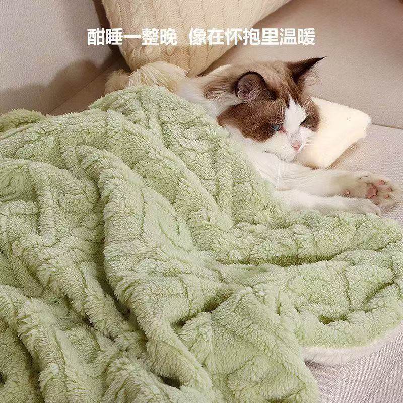 猫毯子猫咪专用小被子冬天加厚保暖宠物小毯子踩奶猫窝垫子睡垫子,宠物/宠物食品及用品,毛巾/浴巾/吸水毛巾,淘宝优惠券,粉丝福利购,淘宝优惠卷