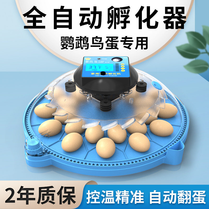 全国创业孵化器素材模板 全国创业孵化器图片下载 小麦优选