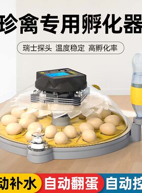 高孵化率小型家用孵化机