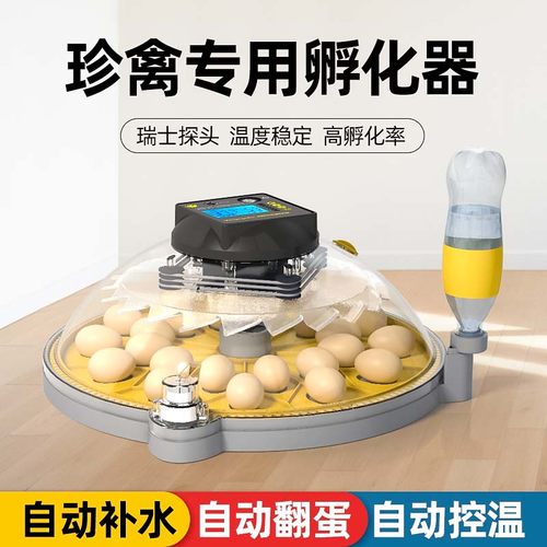 高孵化率小型家用孵化机