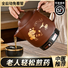 煎药壶全自动熬药家用大容量紫砂电煎中药壶药煲中医砂锅插电药罐