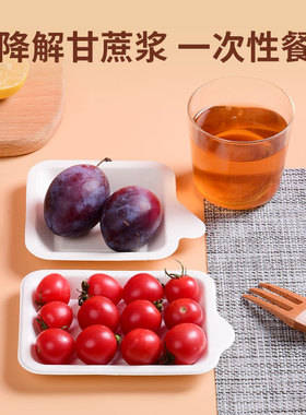 蛋糕纸浆盘小餐盘一次性白色纸盘长方形盘子生日纸碟派对烧烤餐具