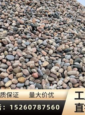 广东鹅卵石变压器5-8河卵石水处理过滤 园林景观大型50公分河滩石