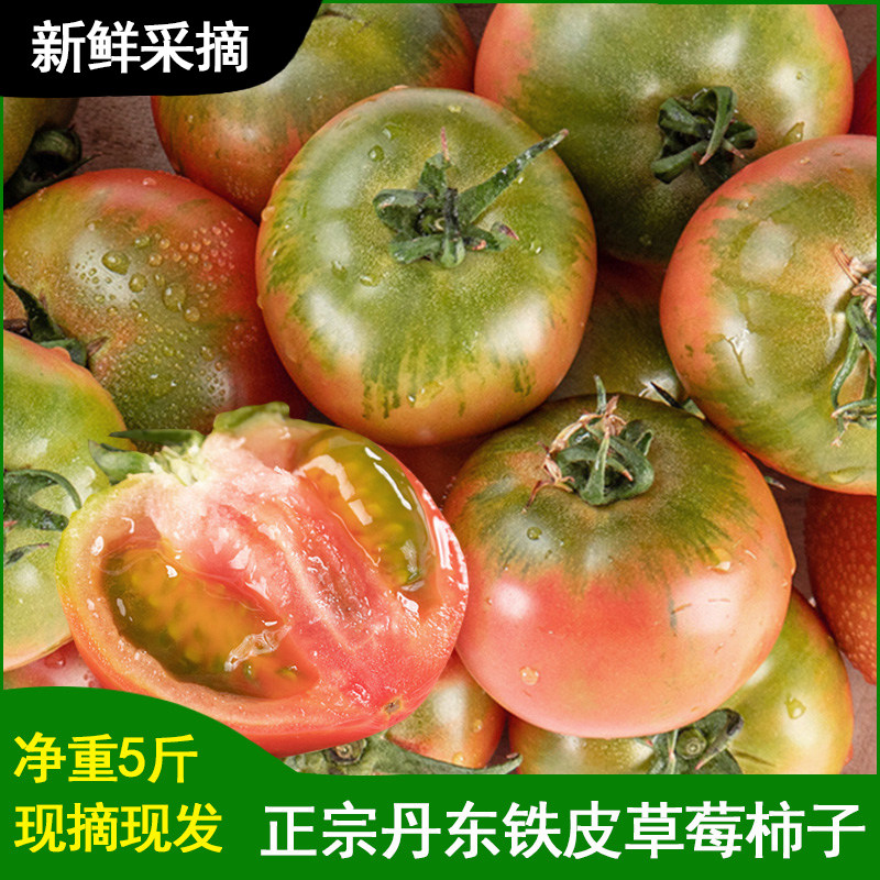 正宗丹东铁皮柿子5斤装 草莓西红柿盘锦碱脆柿子新鲜水果番茄
