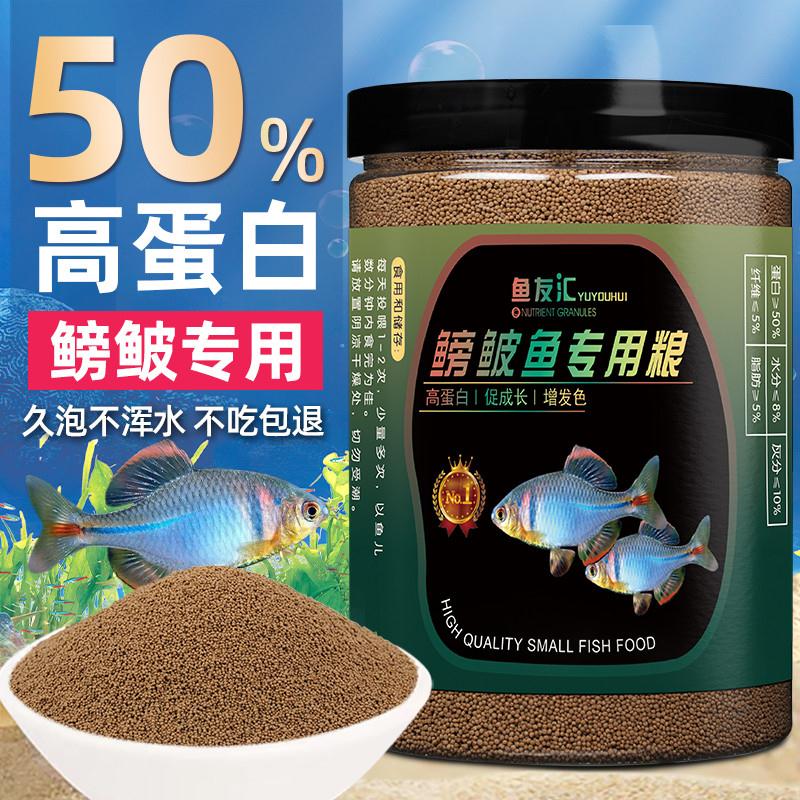 高蛋白鳑鲏鱼专用饲料上浮型小颗粒原生鱼马口宽鳍鱲虾虎下沉鱼食
