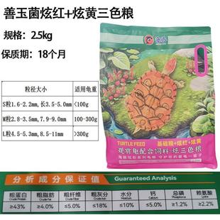 善玉菌海豚高端炫红炫黄半龟巴西金钱龟龟水龟龟粮金钱龟发色黄缘