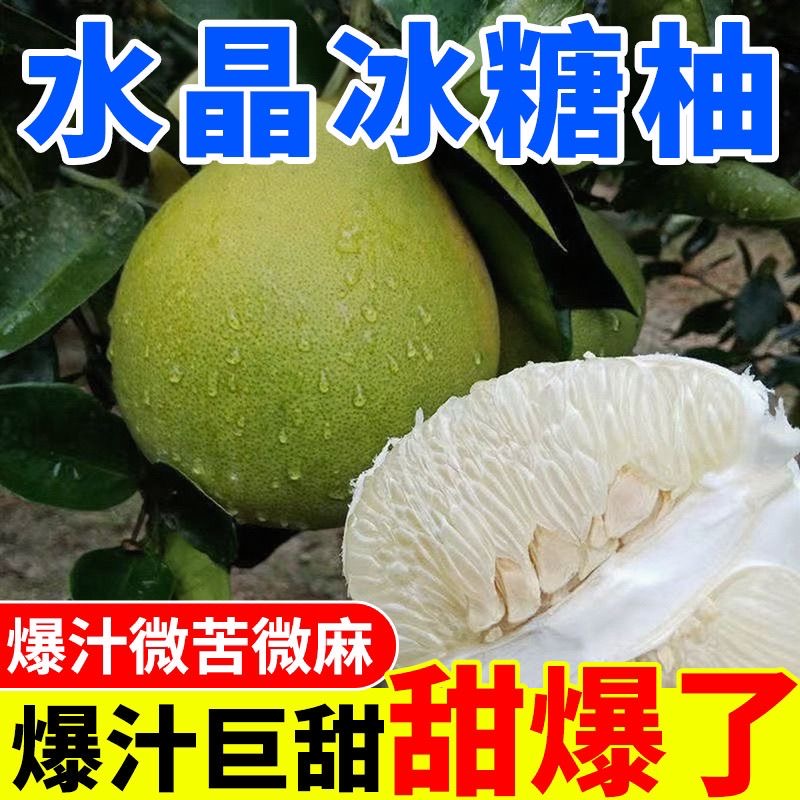 四川乐山柚子正宗柚脆香甜应季新鲜大柚子产地现摘现发红心柚子