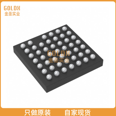 【 全新原装现货 】 RT5509WSC ICAMP  D MONO 4.4W WLCSP-48