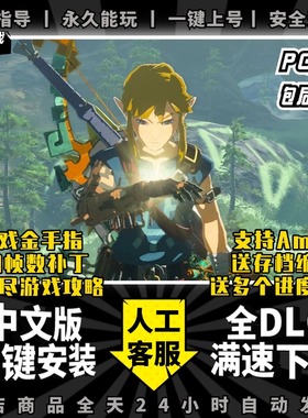 王国之泪传说PC模拟器版送全DLC金手指amiibo存档60帧补丁4k手柄键鼠神龙模拟器yuzu switch电脑单机游戏NS