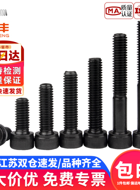 M12M14M16M20M22M24M30 12.9级内六角螺丝黑色杯头螺栓圆柱头螺钉