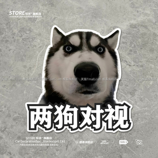 两狗对视车贴搞笑创意摩托车尾箱电动车装饰汽车贴纸车尾后窗贴画