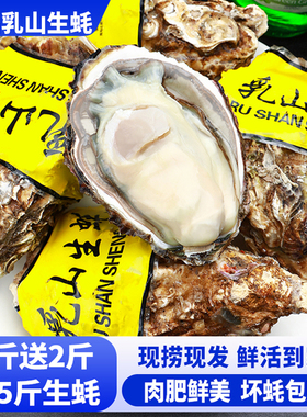 【5斤】乳山生蚝鲜活大号肉肥鲜美牡蛎海蛎子海鲜水产烧烤dbl