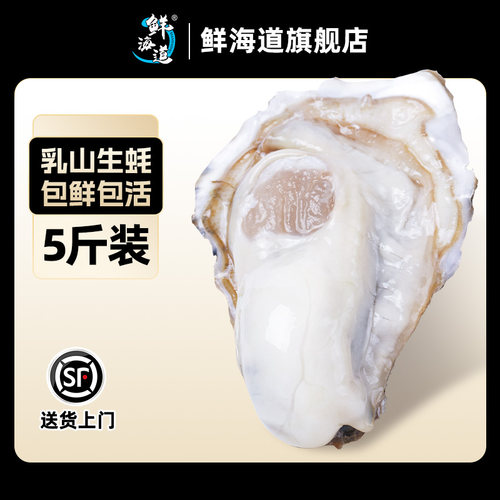 鲜海道乳山鲜活生蚝牡蛎