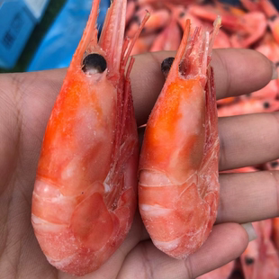 北极熊北极甜虾刺身北极虾头籽新鲜格陵兰冰虾解冻即食海鲜超大号