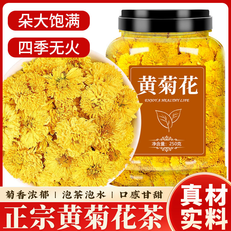 黄菊花胎菊菊花茶泡水喝