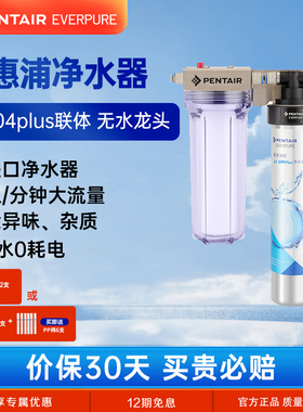 美国爱惠浦净水器家用直饮厨房自来水过滤器前置超滤机商用净化器