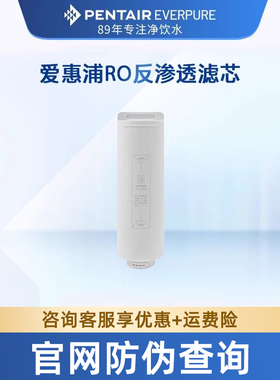 爱惠浦滨特尔400G净水器通用滤芯