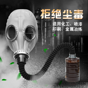 专用头罩防尘喷漆农药 防毒面具全面罩工业化工气体呼吸防护过滤式