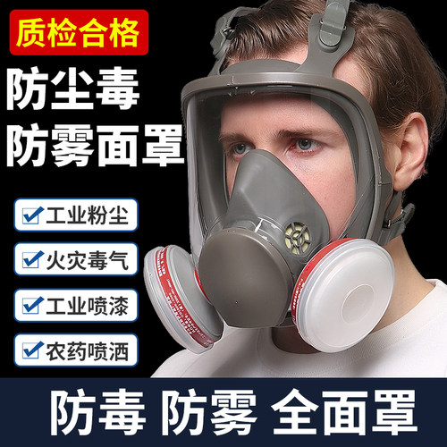 防飞沫放毒氧气全脸头戴过滤式
