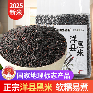 2025新米洋县黑米陕西特产粗粮血糯米农家粥米五谷杂粮黑糯米5斤