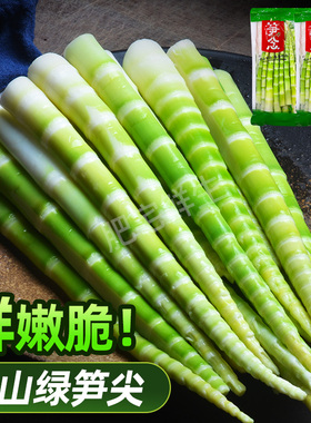 笋念翡翠绿笋高山青笋火锅食材中餐商用新鲜脆嫩野生竹笋清水笋尖