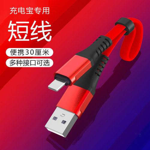 30厘米短款数据线充电宝专用